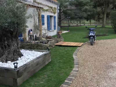 Conception de jardin avec plantation d’un olivier à Briis-sous-forge 91